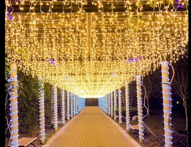 LED窗簾燈、冰條燈